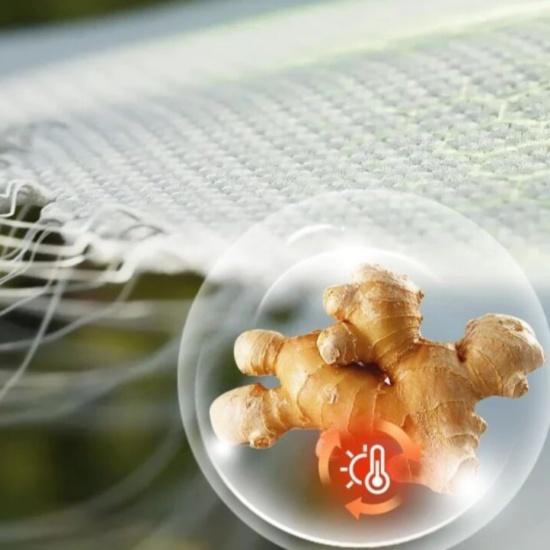 Warm Ginger Fiber