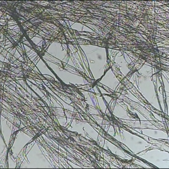 Can A Piece Of Paper Be Turned Into A Piece Of Clothing?