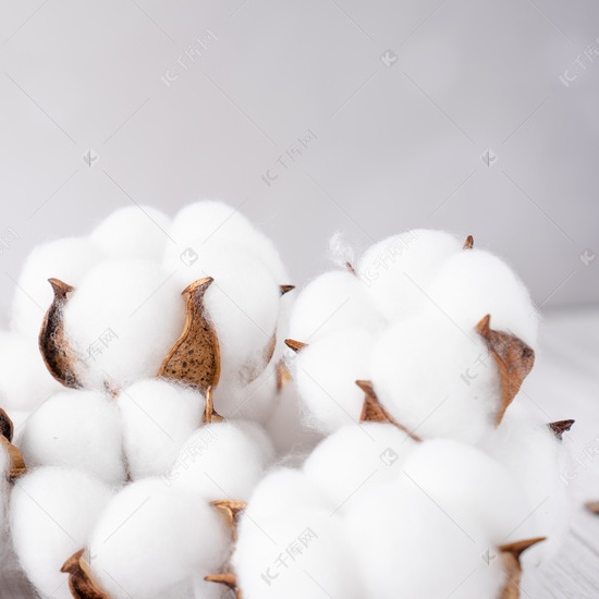 The lowest gauze stock in cotton commercial stock office in recent five years has obviously declined.